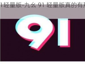 九幺91轻量版-九幺 91 轻量版真的有那么好用吗？