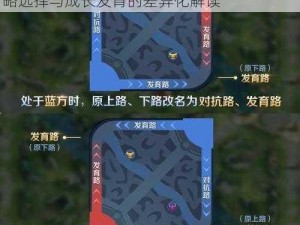 王者荣耀对抗路与发育路核心差异解析：战略选择与成长发育的差异化解读