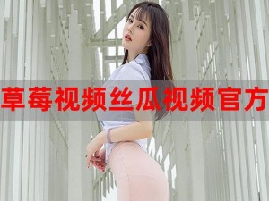 草莓视频 adk，带来全新的视频体验