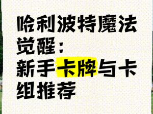 哈利波特魔法觉醒海格螃蟹流卡组搭配指南：探索最佳卡牌组合与策略推荐