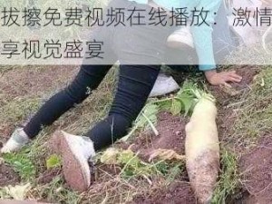 拔擦拔擦免费视频在线播放：激情无限，畅享视觉盛宴