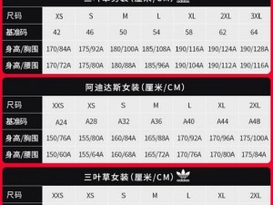 三叶草 M 码与欧洲码的对比：解析不同尺码体系