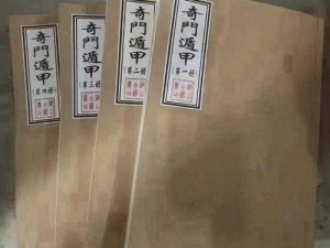 奇门电脑版下载与安装指南：详解奇门电脑版的使用步骤