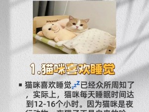 我家猫咪的欢乐生活与独特个性：My Cat的日常简介