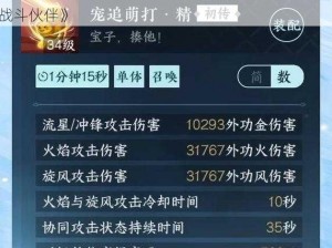 《天下手游：物理神宠技能搭配全攻略——打造无敌战斗伙伴》