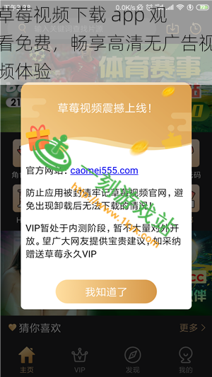 草莓视频下载 app 观看免费，畅享高清无广告视频体验