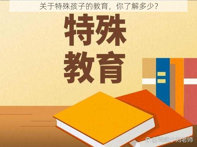 关于特殊孩子的教育，你了解多少？