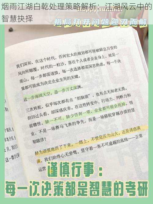 烟雨江湖白乾处理策略解析：江湖风云中的智慧抉择