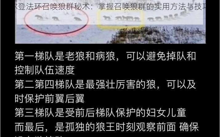 艾尔登法环召唤狼群秘术：掌握召唤狼群的实用方法与技巧解析