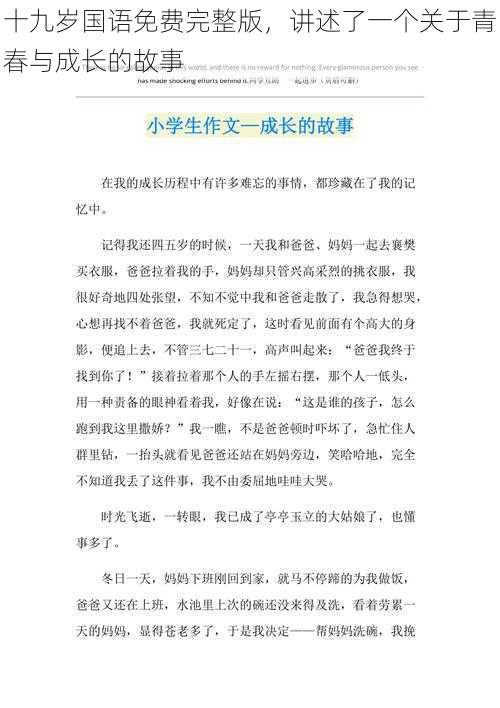 十九岁国语免费完整版，讲述了一个关于青春与成长的故事