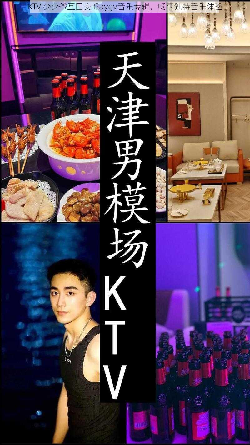 KTV 少少爷互囗交 Gaygv音乐专辑，畅享独特音乐体验