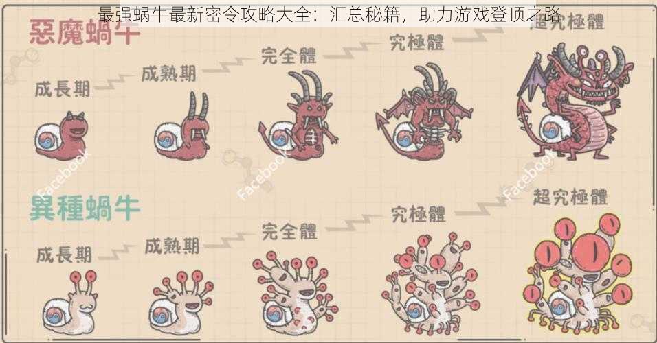 最强蜗牛最新密令攻略大全：汇总秘籍，助力游戏登顶之路