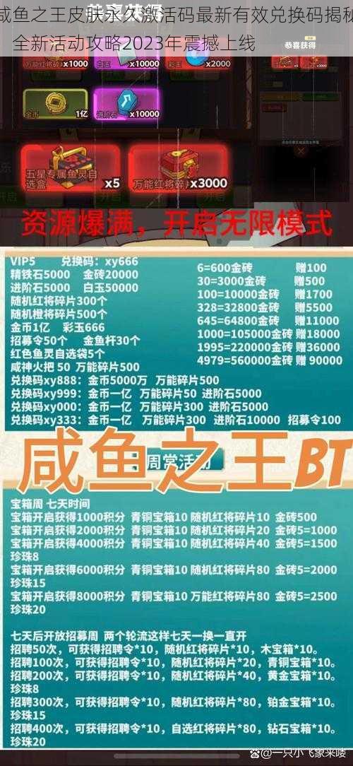 咸鱼之王皮肤永久激活码最新有效兑换码揭秘：全新活动攻略2023年震撼上线