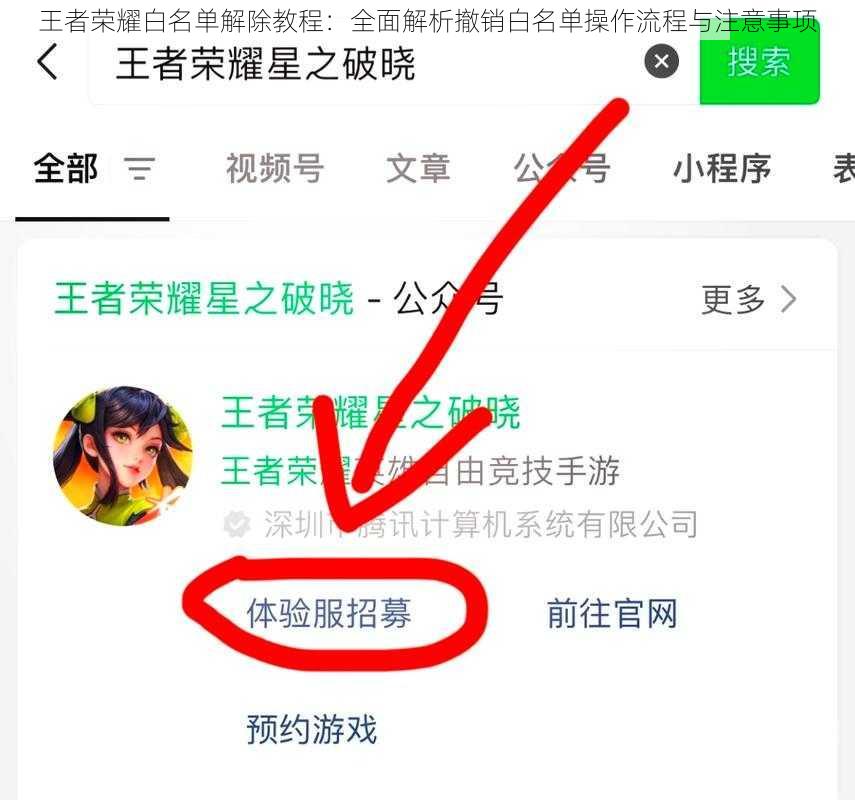 王者荣耀白名单解除教程：全面解析撤销白名单操作流程与注意事项