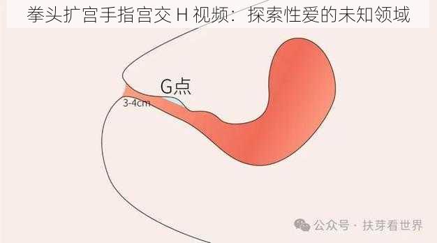 拳头扩宫手指宫交 H 视频：探索性爱的未知领域