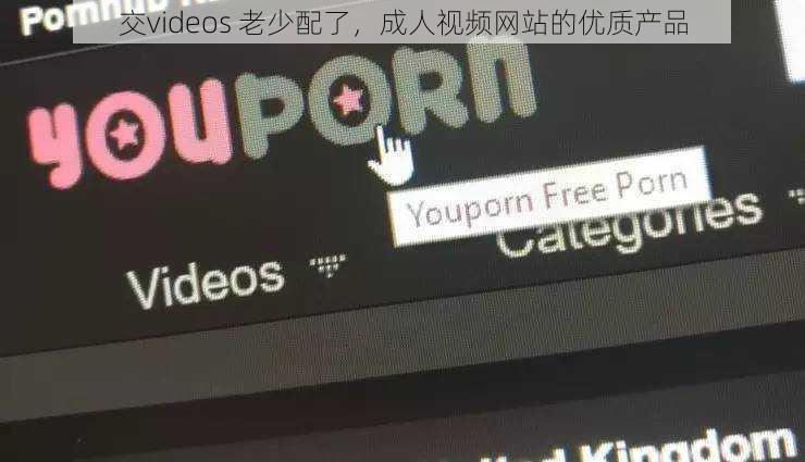 交videos 老少配了，成人视频网站的优质产品