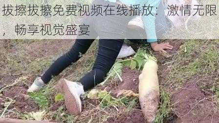 拔擦拔擦免费视频在线播放：激情无限，畅享视觉盛宴