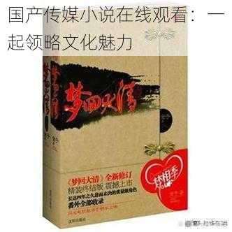 国产传媒小说在线观看：一起领略文化魅力