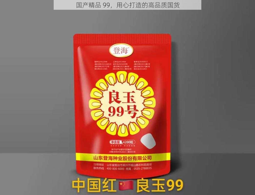 国产精品 99，用心打造的高品质国货