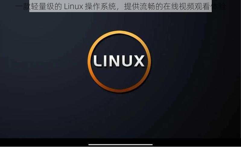 一款轻量级的 Linux 操作系统，提供流畅的在线视频观看体验