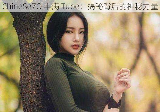 ChineSe7O 丰满 Tube：揭秘背后的神秘力量