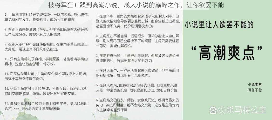 被将军狂 C 躁到高潮小说，成人小说的巅峰之作，让你欲罢不能