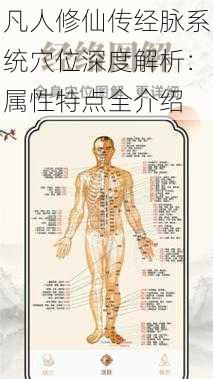 凡人修仙传经脉系统穴位深度解析：属性特点全介绍