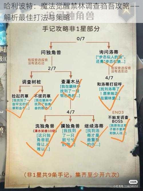 哈利波特：魔法觉醒禁林调查驺吾攻略——解析最佳打法与策略