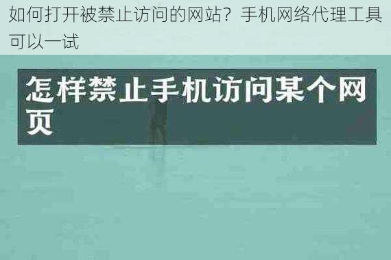 如何打开被禁止访问的网站？手机网络代理工具可以一试