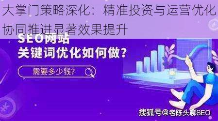 大掌门策略深化：精准投资与运营优化协同推进显著效果提升