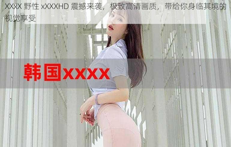 XXxX 野性 xXXXHD 震撼来袭，极致高清画质，带给你身临其境的视觉享受