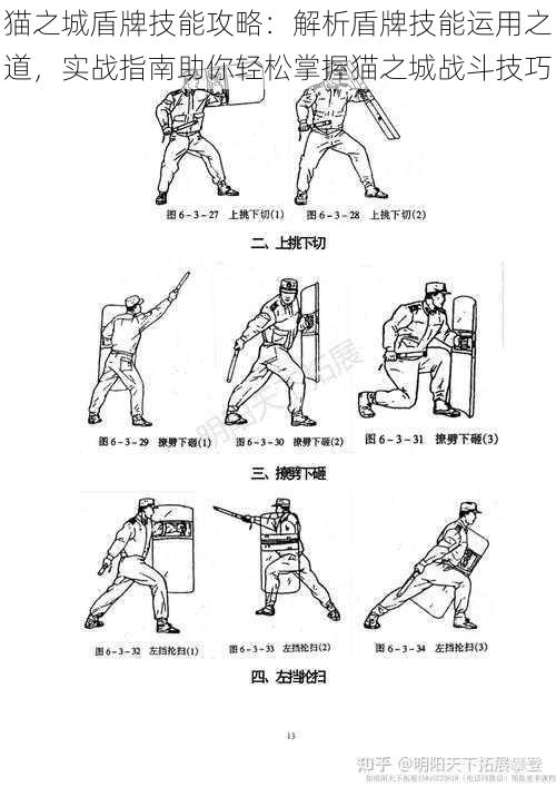 猫之城盾牌技能攻略：解析盾牌技能运用之道，实战指南助你轻松掌握猫之城战斗技巧