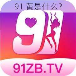 91 黄是什么？