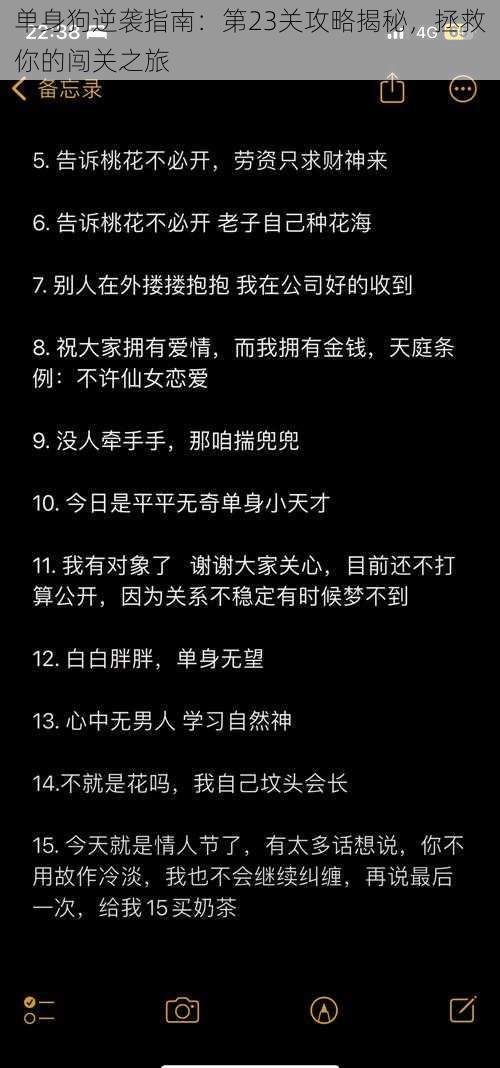 单身狗逆袭指南：第23关攻略揭秘，拯救你的闯关之旅