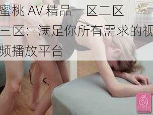 蜜桃 AV 精品一区二区三区：满足你所有需求的视频播放平台