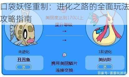 口袋妖怪重制：进化之路的全面玩法攻略指南