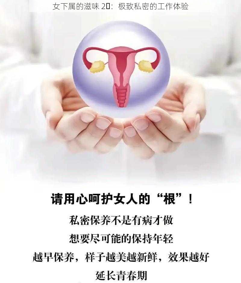 女下属的滋味 2⃣：极致私密的工作体验