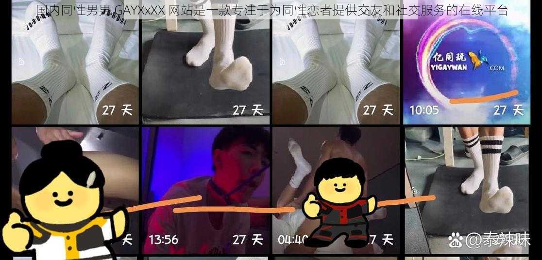 国内同性男男 GAYXxXX 网站是一款专注于为同性恋者提供交友和社交服务的在线平台