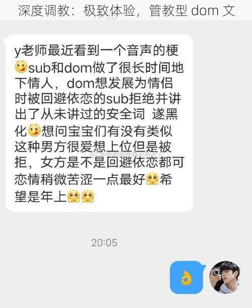 深度调教：极致体验，管教型 dom 文