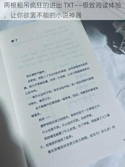 两根粗吊疯狂的进出 TXT——极致阅读体验，让你欲罢不能的小说神器