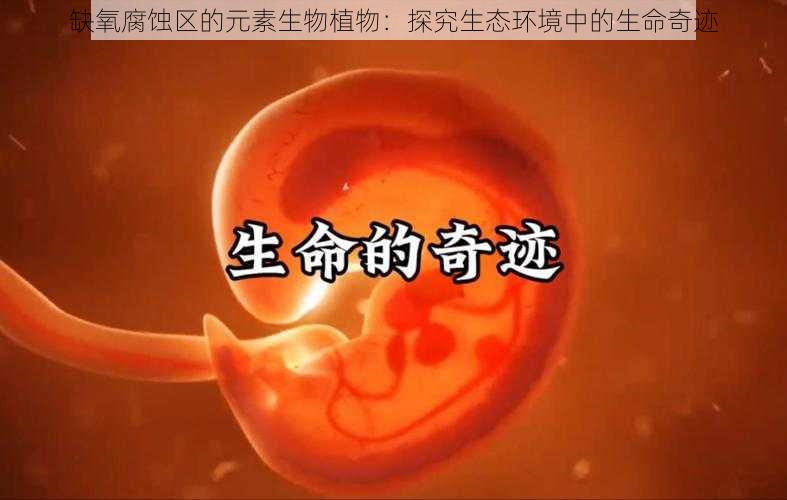 缺氧腐蚀区的元素生物植物：探究生态环境中的生命奇迹