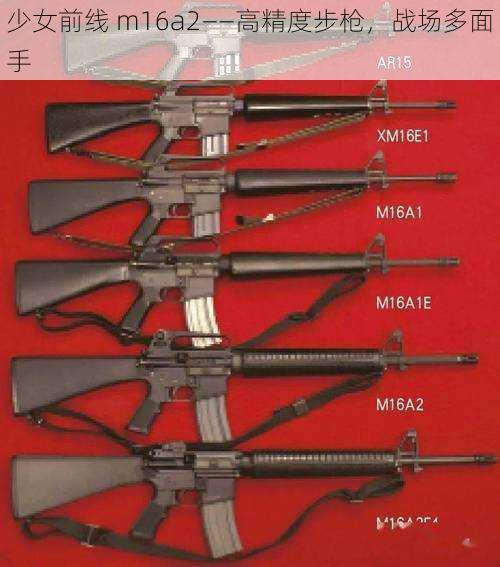 少女前线 m16a2——高精度步枪，战场多面手