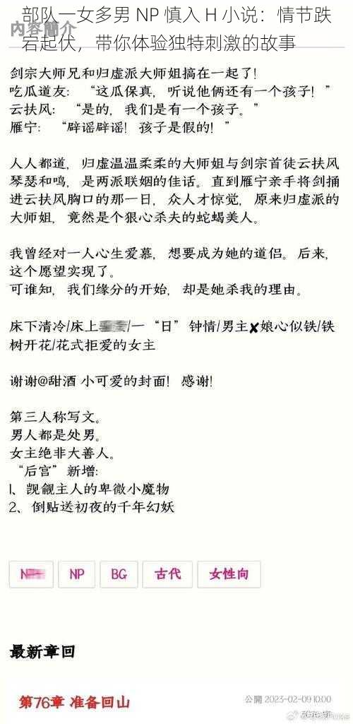 部队一女多男 NP 慎入 H 小说：情节跌宕起伏，带你体验独特刺激的故事