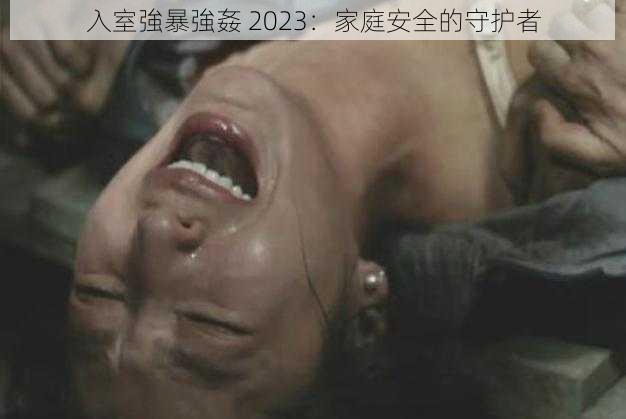 入室強暴強姦 2023：家庭安全的守护者