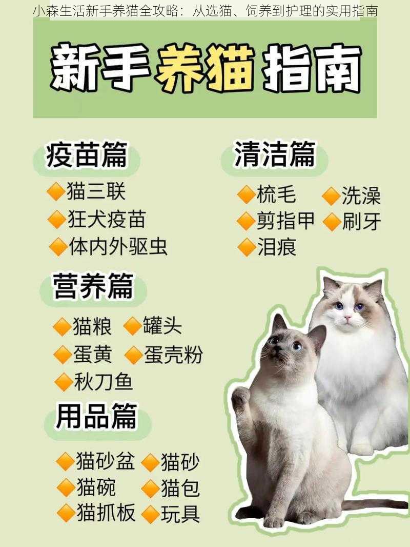 小森生活新手养猫全攻略：从选猫、饲养到护理的实用指南