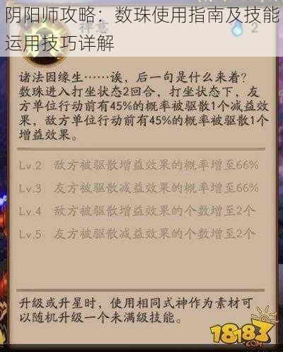 阴阳师攻略：数珠使用指南及技能运用技巧详解