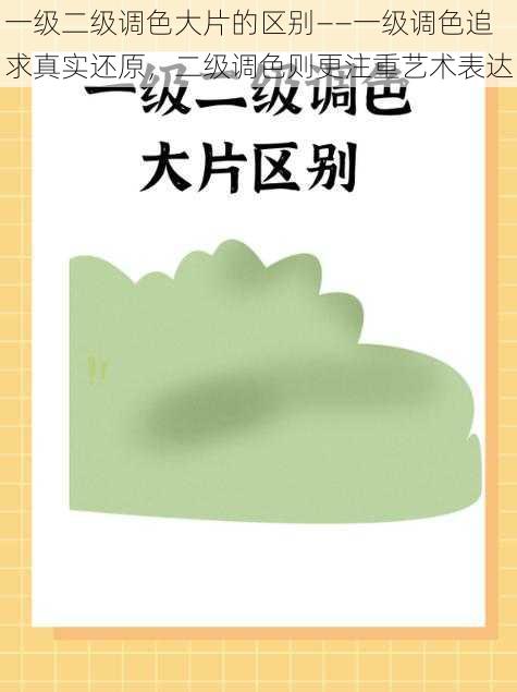 一级二级调色大片的区别——一级调色追求真实还原，二级调色则更注重艺术表达