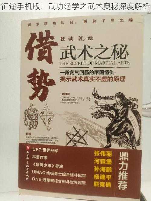 征途手机版：武功绝学之武术奥秘深度解析