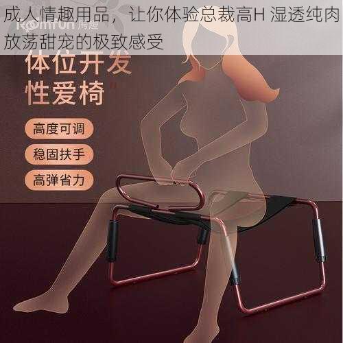 成人情趣用品，让你体验总裁高H 湿透纯肉放荡甜宠的极致感受