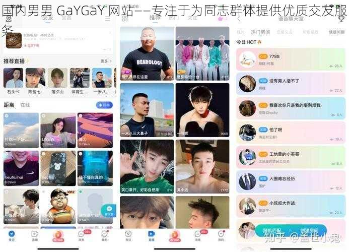 国内男男 GaYGaY 网站——专注于为同志群体提供优质交友服务